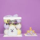 우츄츄 네이버블로그