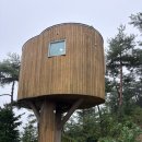 자작나무집 이미지