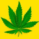 하나산업 이미지