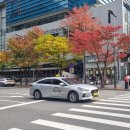 서울 나들이 이미지