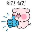 준차이 네이버블로그