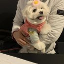 경태농장 이미지