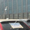 다솔약국 | 26년 3월 모음 🫶