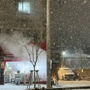 옥동 우리마트 | [강원도 영월] 개별 화장실이 있는 조용하고 아늑한 ‘캠블리 캠핑장’ 후기 / 사이트 09 후기