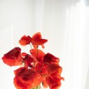 공간의움직임 이미지