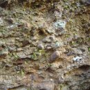 천곡사 계곡 이미지