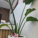 더탑아이앤아이 | 충남과학고 합격 후기를 말씀드립니다.