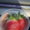 남일로(남후면) | [안동딸기맛집] 우리딸기농장 : GAP 인증에 상까지 받은 딸기 맛집 (딸기효능, 딸기부작용, 딸기세척법)