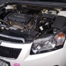 신양주유소 이미지