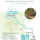 화성 47코스(경기둘레길) | [경기둘레길 양평 26코스 경기숲길] 그윽한 숲 속 힐링 산책로, 완벽 가이드