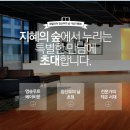베이비문