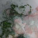 성공목장 이미지