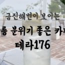 테라176 이미지