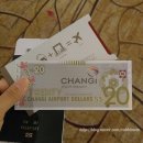 비케이 커뮤니케이션 | [신혼여행 1일차] 몰디브 오젠리조트 (싱가포르 경유, 도착 그리고 감동, 얼스 빌라 위드 풀, 잘 알지...