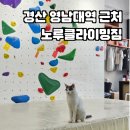 챌린져클라이밍센터 경산영대점 | 경산 대구 클라이밍 볼더링 영남대역 근처 '노루클라이밍'