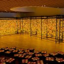 빛의 변주 이미지