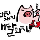디딤유통 이미지