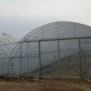 하우스농장 이미지