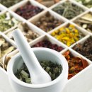 약초활용 생활건강법 이미지