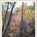 A-1부-2011년10월23일 정수 산악회에서 도봉산 등산사진.(베내지안 사진) 이미지
