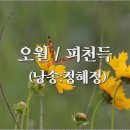 5월을 드립니다............. 이미지