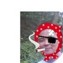 창원MTB 이미지