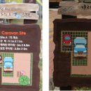 자라섬 캠핑장 이미지