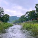 푸른계곡 이미지