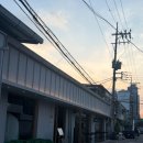 용산-355 | 신용산 맛집 오르노 | 청첩장모임 피스타치오 모르타델라 피자 파스타 빠에야 방문 후기