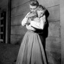 에덴의 동쪽 이미지