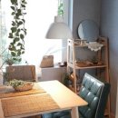 선흘 언니네 이미지