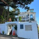 캠핑고양이 도곡점 | 강남 고양이 카페 “캠핑고양이 양재점” 후기 / 강남데이트코스 / 도곡카페 / 양재역카페