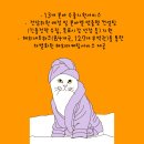 글로벌세무회계컨설팅 이미지