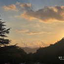 남산제일약국 이미지