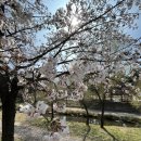 중앙로열길 이미지