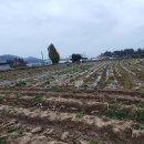 예당농장 이미지