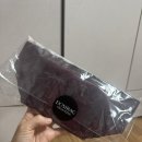 백도시 | 25년도 루이비통 신상 올인비비 이너백 도시백 추천 내돈내산 사용 후기