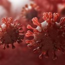 동경 무도장 이미지