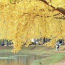 서울장식 이미지