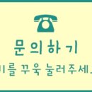 하나애견 이미지