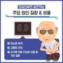 시그니티 요양병원 네이버블로그