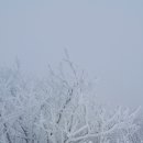 인제16-2 이미지