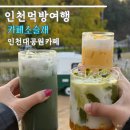 장수동 은행나무 | 인천대공원 카페 소슬재 가을 장수동 은행나무 실시간 후기