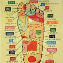 건강에 최고로 좋은 발 마사지 이미지