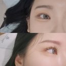 중도일보 | [대전 속눈썹 연장] 대전 중구 바이네롤리 속눈썹펌&amp;속눈썹연장 대만족 후기