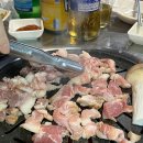 사계절고기한판 이미지