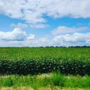 해바라기주유소 화장실 이미지