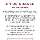까멜리아 이미지