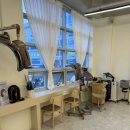 메이에르 이미지