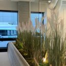 현대자동차대명점 이미지